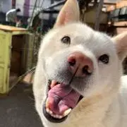 ゆっこの画像