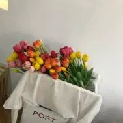 あいうえおの画像