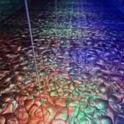 おはよんーの画像