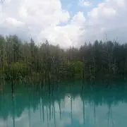まあしゃ