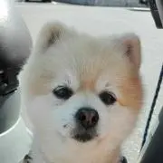 ちぃ