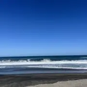 だいの画像