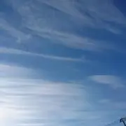 ブロ