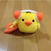 チッチの画像