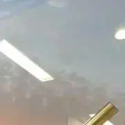 ぱんなの画像