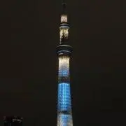 DIANA 88 水着カタログ - メルカリ