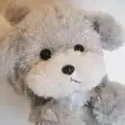 SAMIの画像
