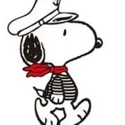 poloの画像