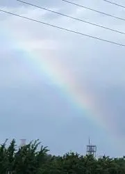りゅう