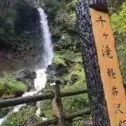 おまめだーのの画像