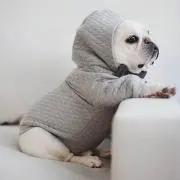 たまご