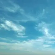 まろん＊匿名配送の画像