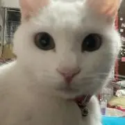 TikToker倶楽部の画像