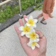 RH:)の画像