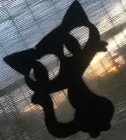 マー
