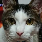 ☆クーちゃん
