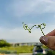 ちい　♡プロフィールをご覧下さい♡の画像