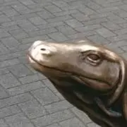 ビホウ断捨離中の画像