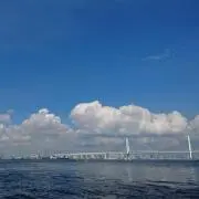 BBの画像