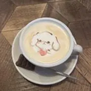 Sakuraの画像