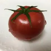 ゆずちゃんの画像