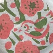 mimiの画像