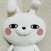 うさぎさんの画像