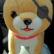 アルファの画像