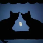 あさぴ