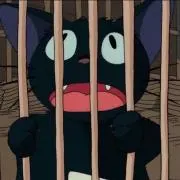 くろねこ