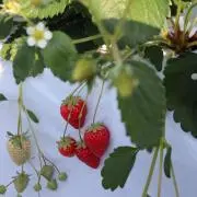 Emi＊の画像
