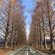 shihoの画像