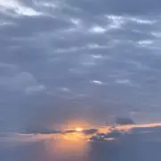 ゆーの画像