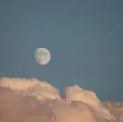 蜜柑星人の画像