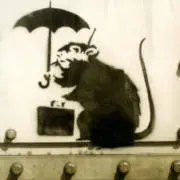 わかめの画像