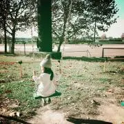 ひなこてつの画像