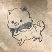 わんたの画像