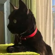 mmmの画像