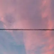 ロゴの画像
