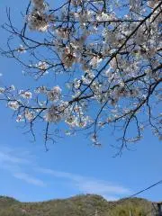 ゆ～ごの画像