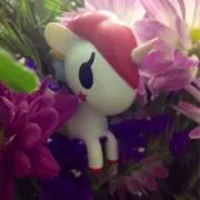 パルパルーザの画像