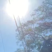 SHO265(プロフ必読)の画像