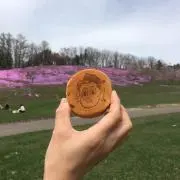 オガ