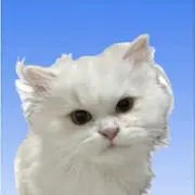 もぐ プロフ必読の画像