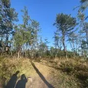 とある日常の画像