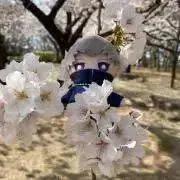 むーさんの画像