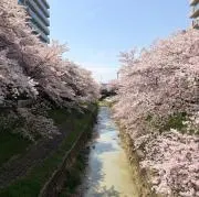 aoi.nishiの画像