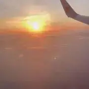 つばめの画像