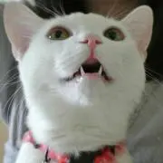 うにっこ