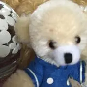 ミックの画像